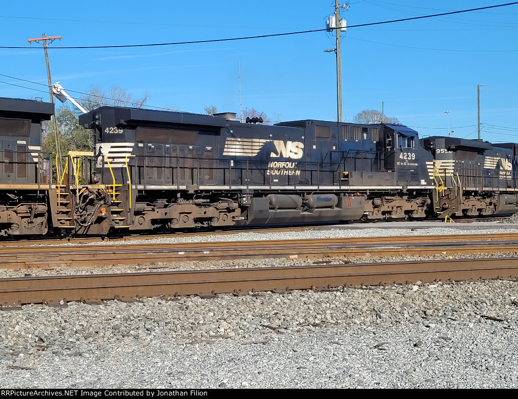 NS 4239